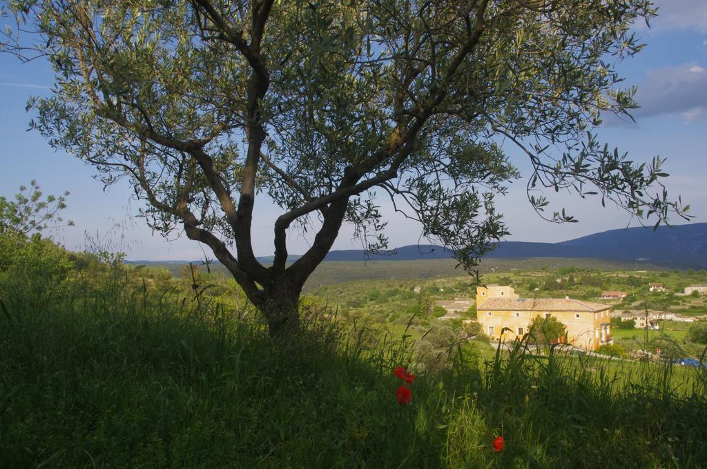 Pontet-Fronzele Agrotourisme Ecologique, Maison D'Hotes & Spa 라고세 외부 사진