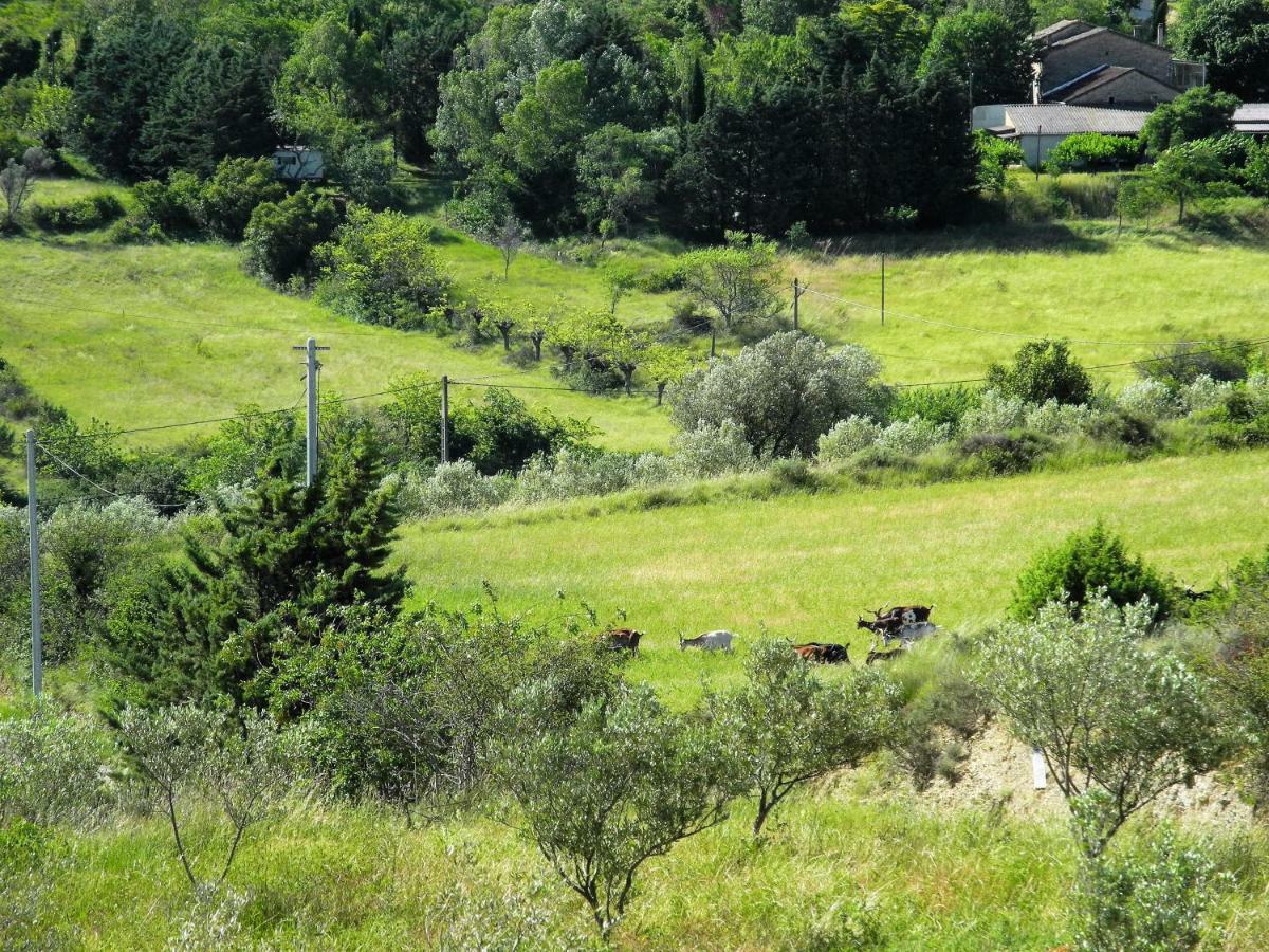 Pontet-Fronzele Agrotourisme Ecologique, Maison D'Hotes & Spa 라고세 외부 사진